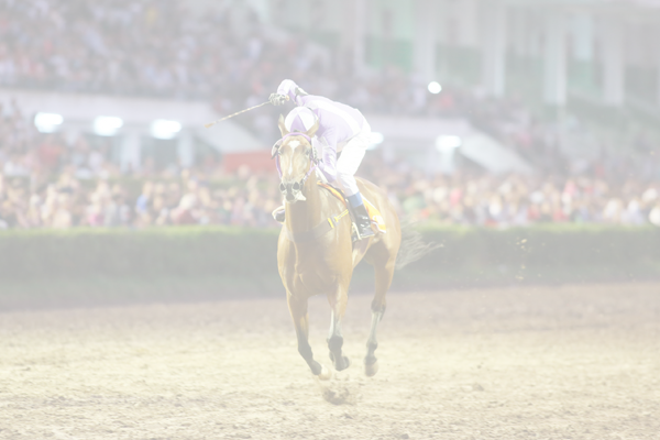 Cariñosa Haras La Leyenda