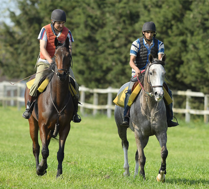 Haras La Leyenda